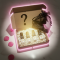Mystery Box – Ladies clean